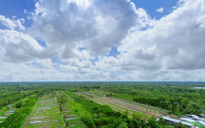 VNPT Hậu Giang