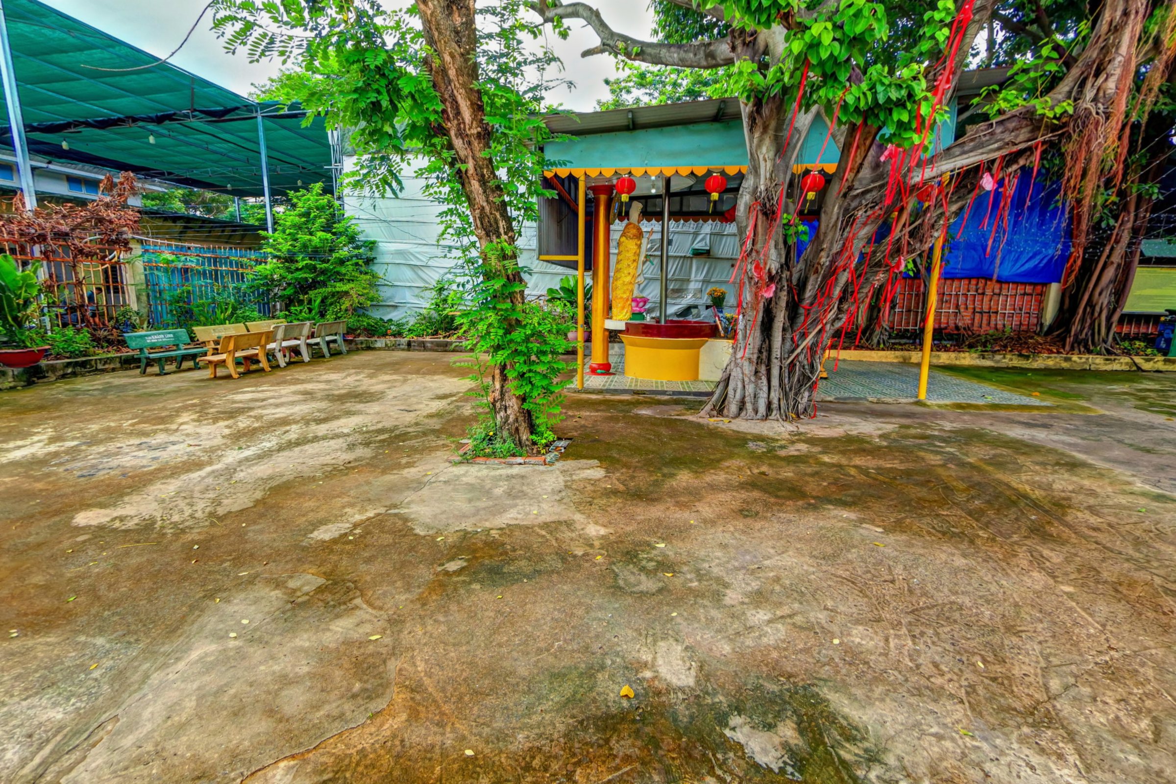 Đình Tân Khai, Bình Tân trong tour 360
